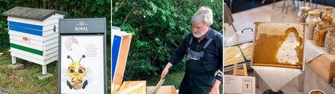 Bistade på Dronninglund Hotel